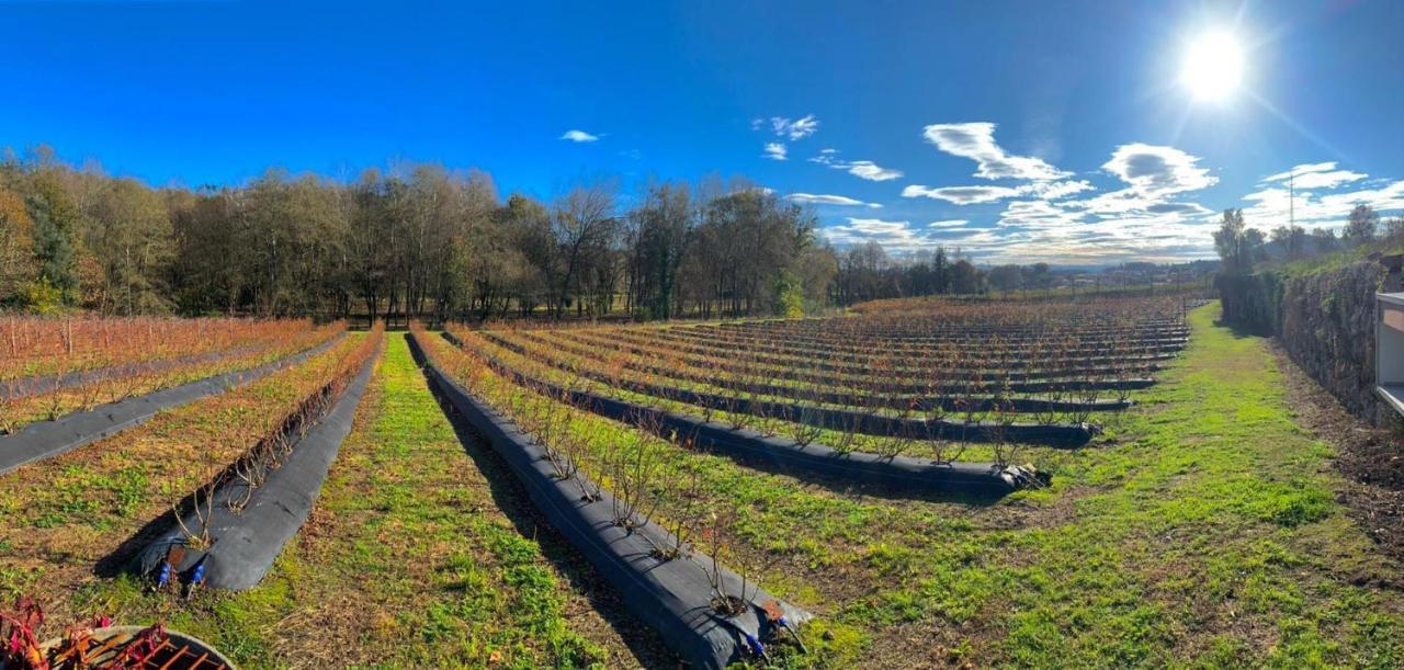 Quinta De Requeixo Villa Guimarães Dış mekan fotoğraf
